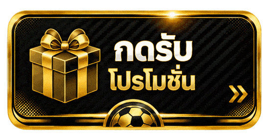 กดรับโปรโมชั่น